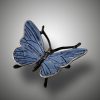 Schmetterling – Bild 8