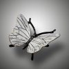 Schmetterling – Bild 7