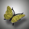 Schmetterling – Bild 6