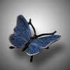 Schmetterling – Bild 5
