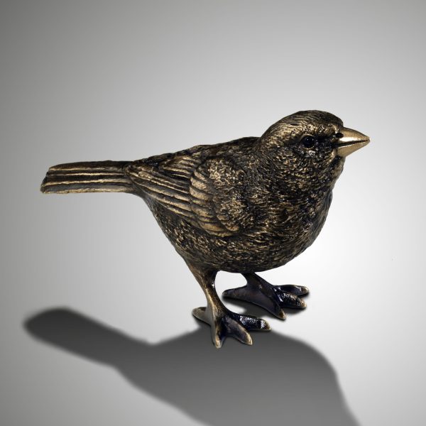 Vogel