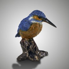 Eisvogel auf Stamm