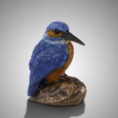 Eisvogel auf Kieselstein