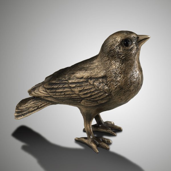 Vogel
