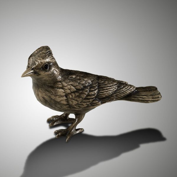 Vogel