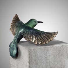Kolibri mit Flügel nach vorne