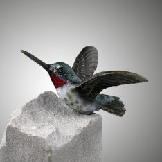 Kolibri fliegend
