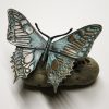 Schmetterling – Bild 3