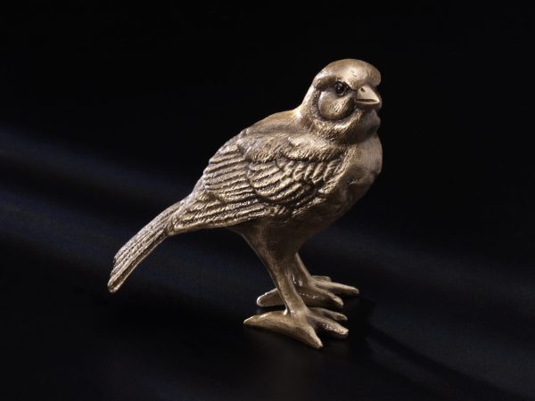 Vogel