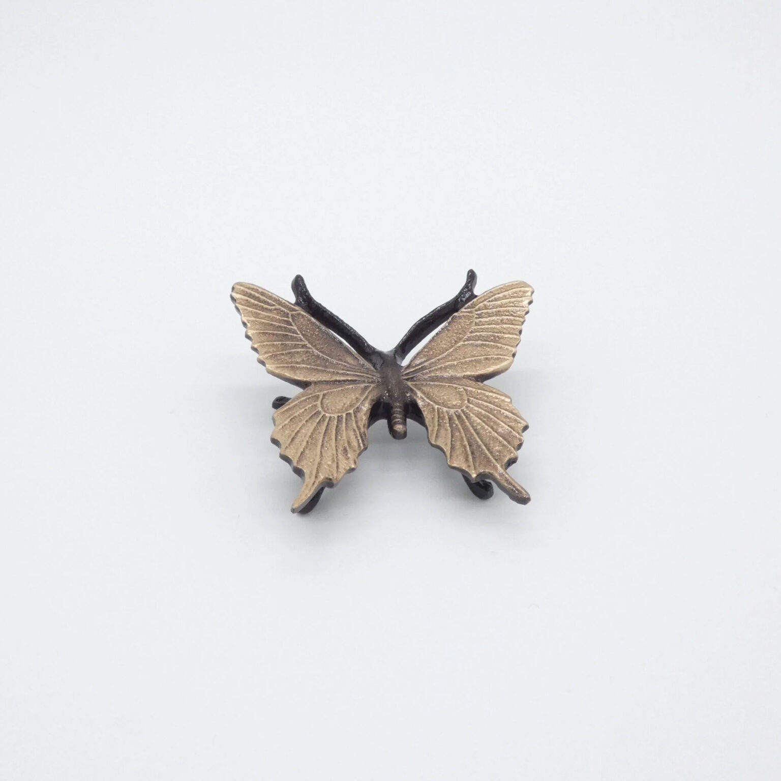 Schmetterling(schwalbenschwanz) mittig